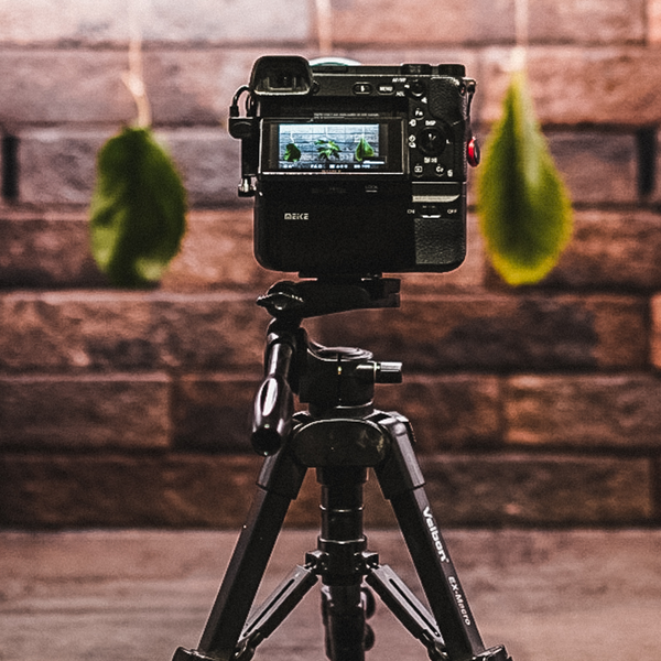 Torkade lv Torkade lv