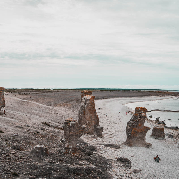 Vid kusten p Gotland