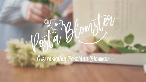 Screenshot_2022-11-06_at_222711